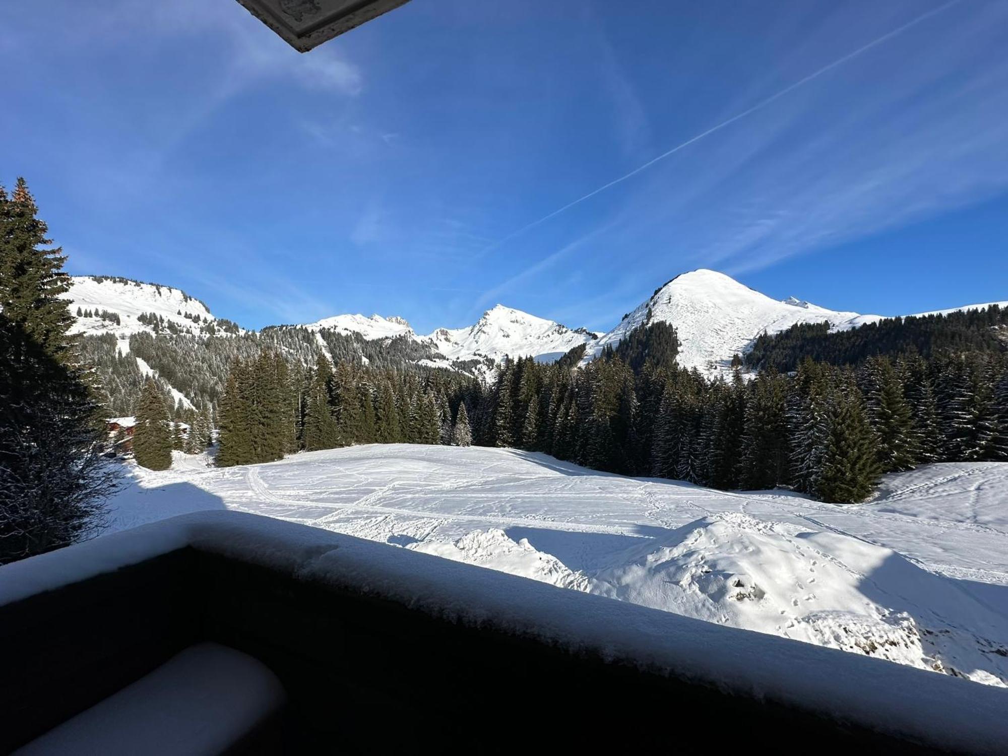 לה פרז דה ליס Studio Au Coeur Du Praz-De-Lys - Les Pralyssimes מראה חיצוני תמונה